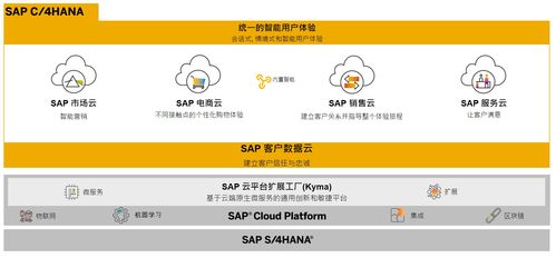 SAP商务云产品自学指南 电商云、销售云与营销云业务知识入门